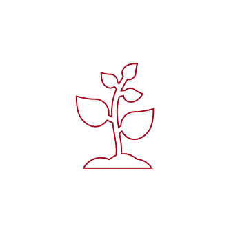 Growth Image for LP