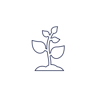 Kolok Icon 1