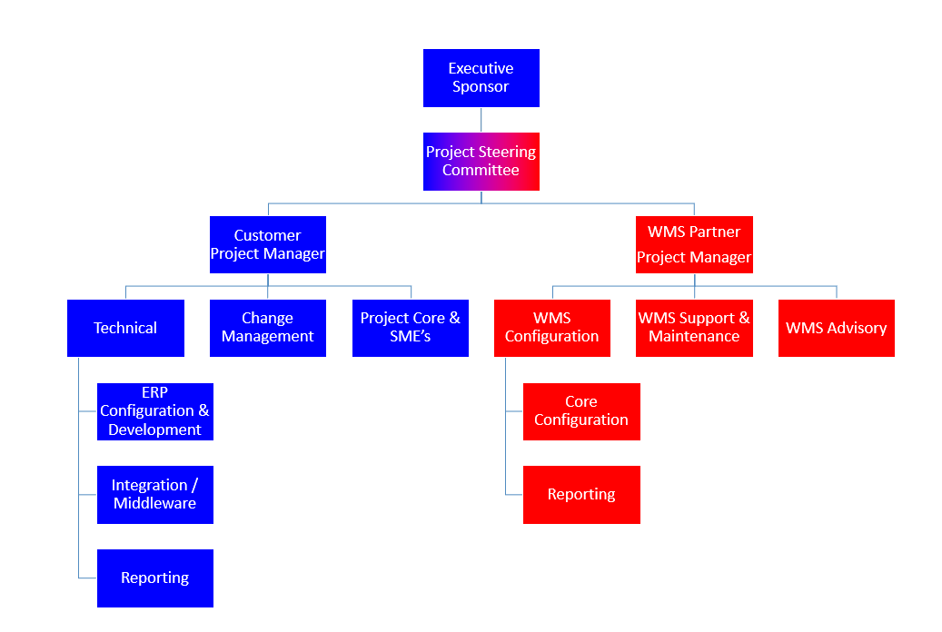 The right team for a wms implementation